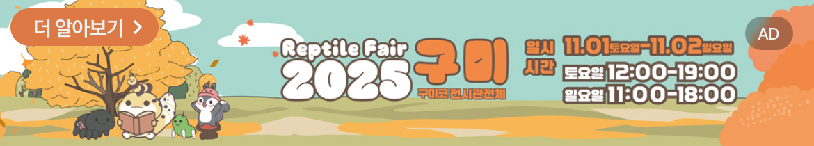 top banner