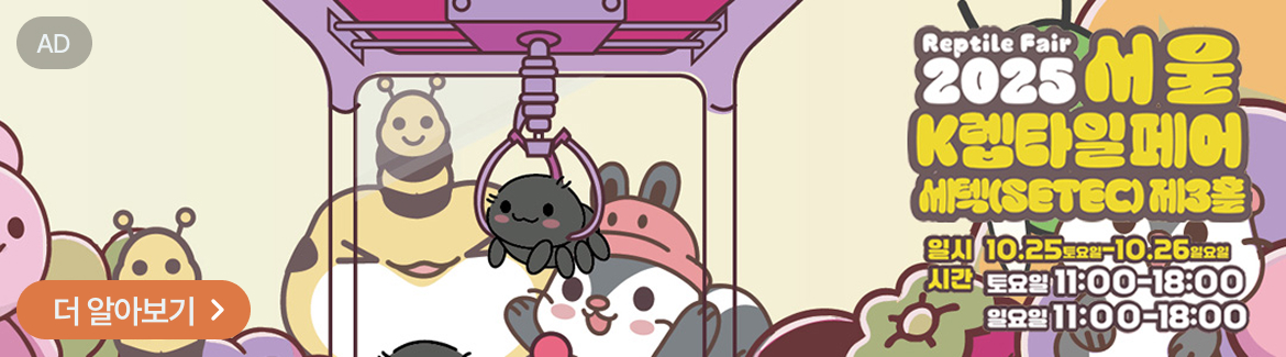 top banner