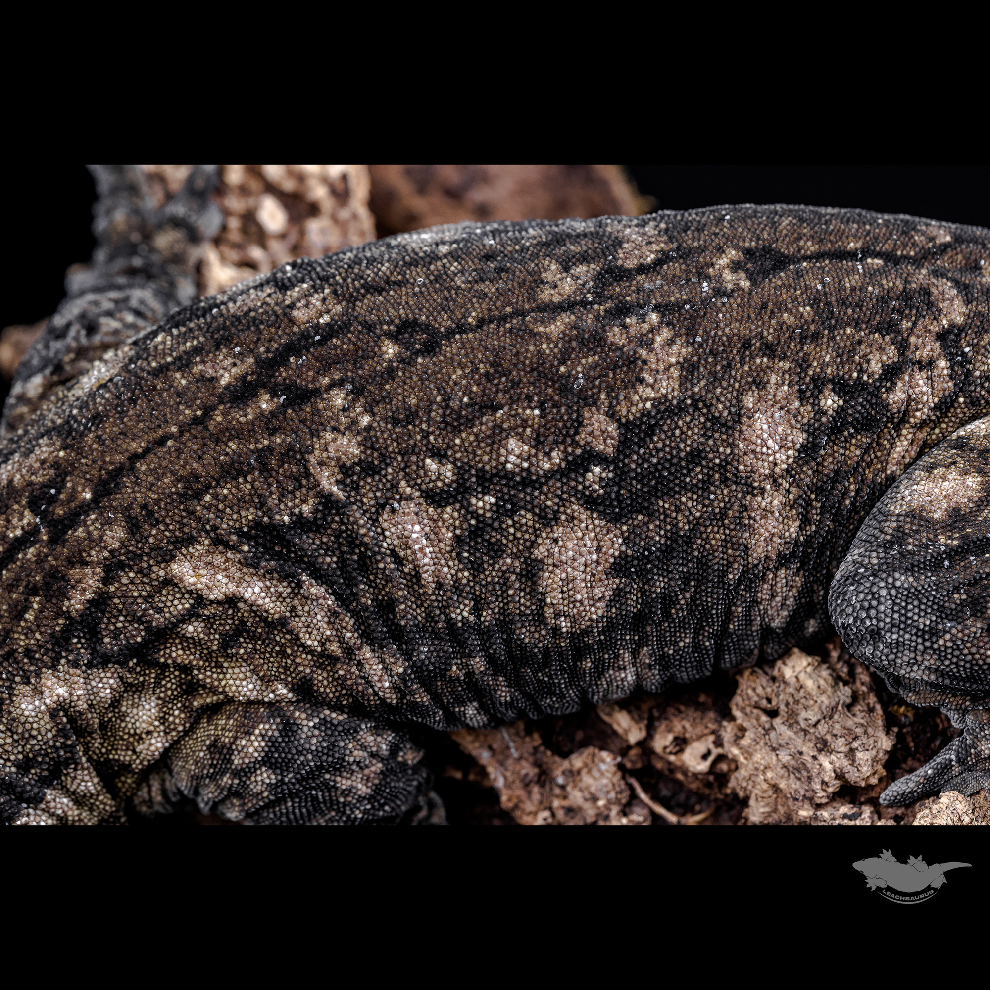 스팟 확대 사진입니다!