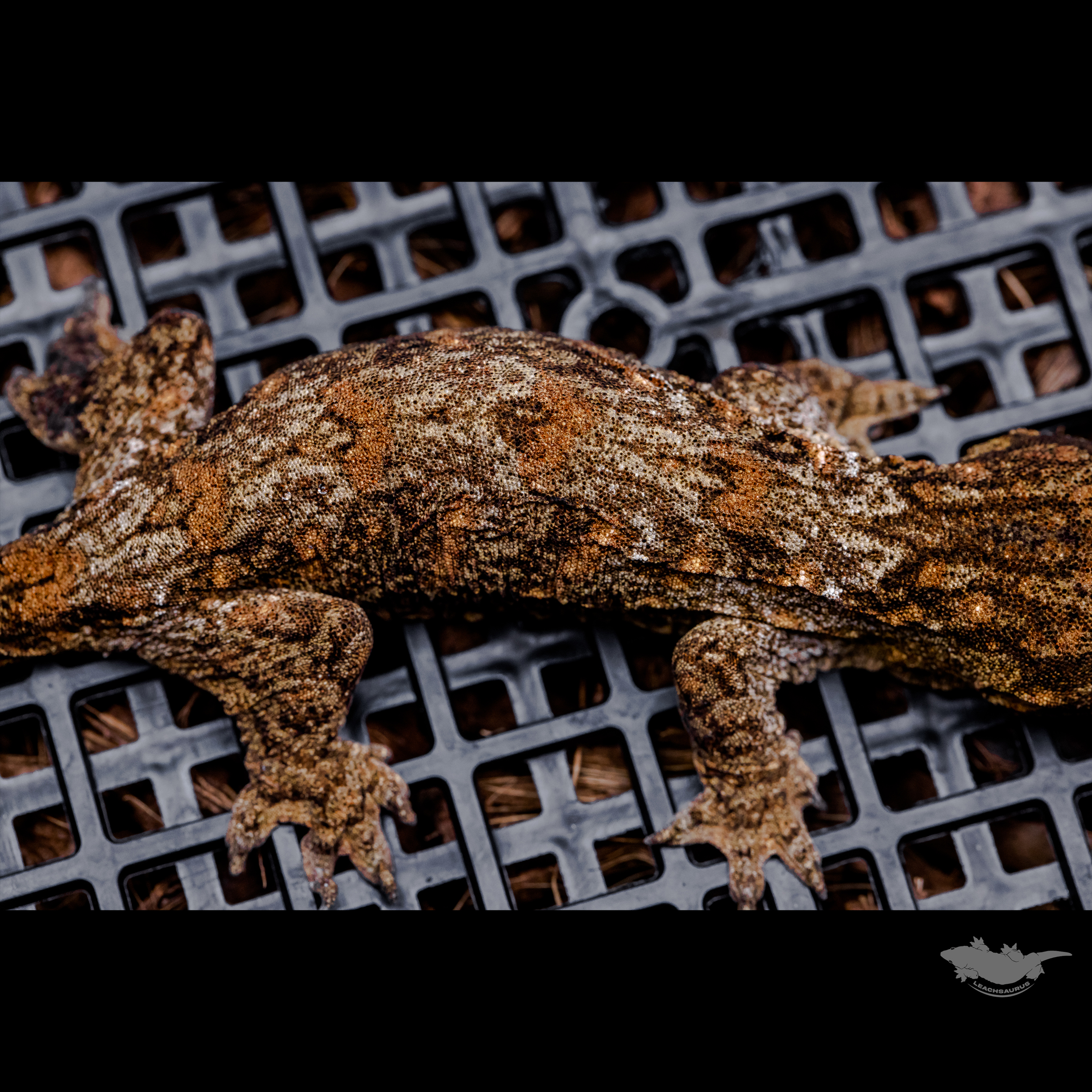 스팟 확대 사진입니다 :)