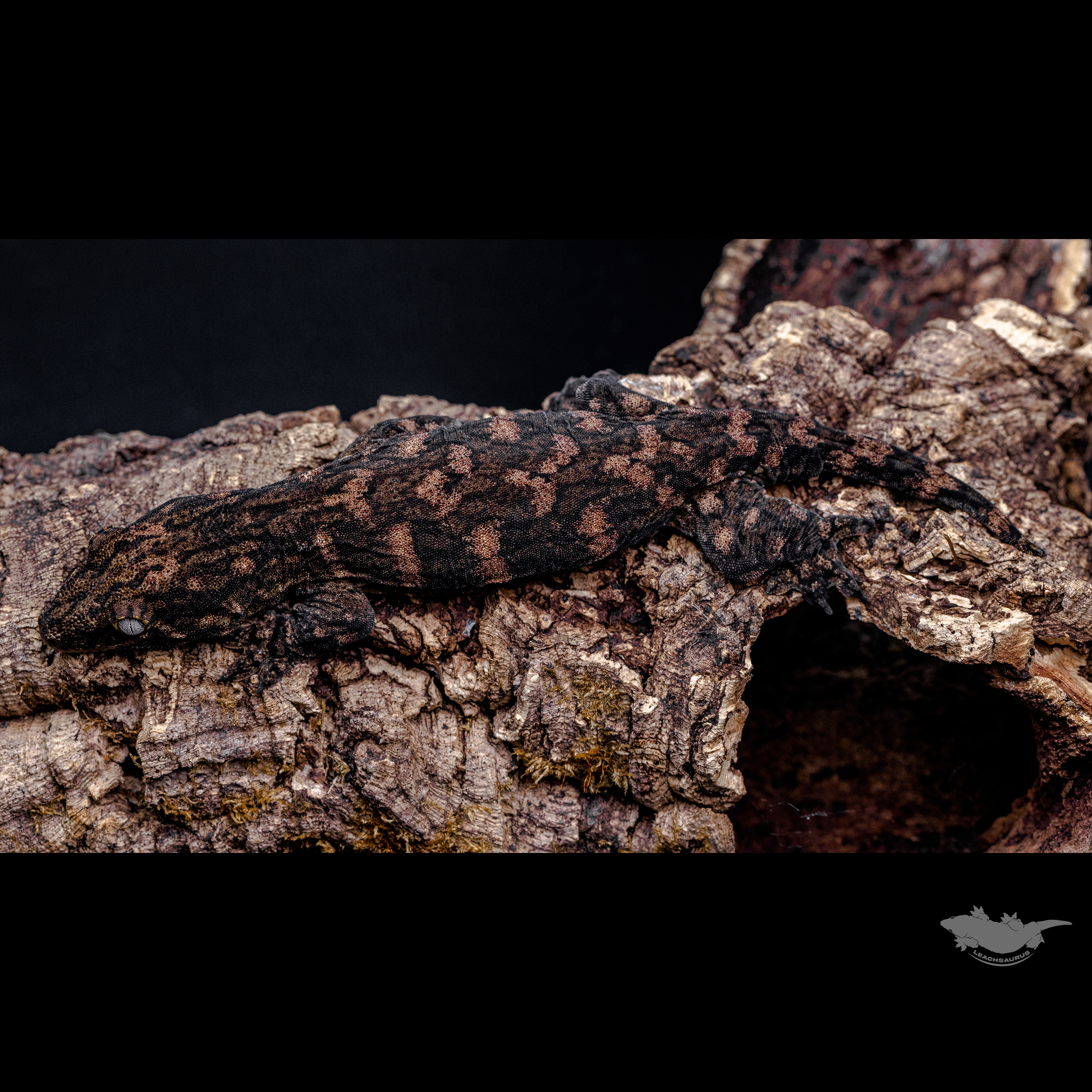 시블링 사진입니다 :)