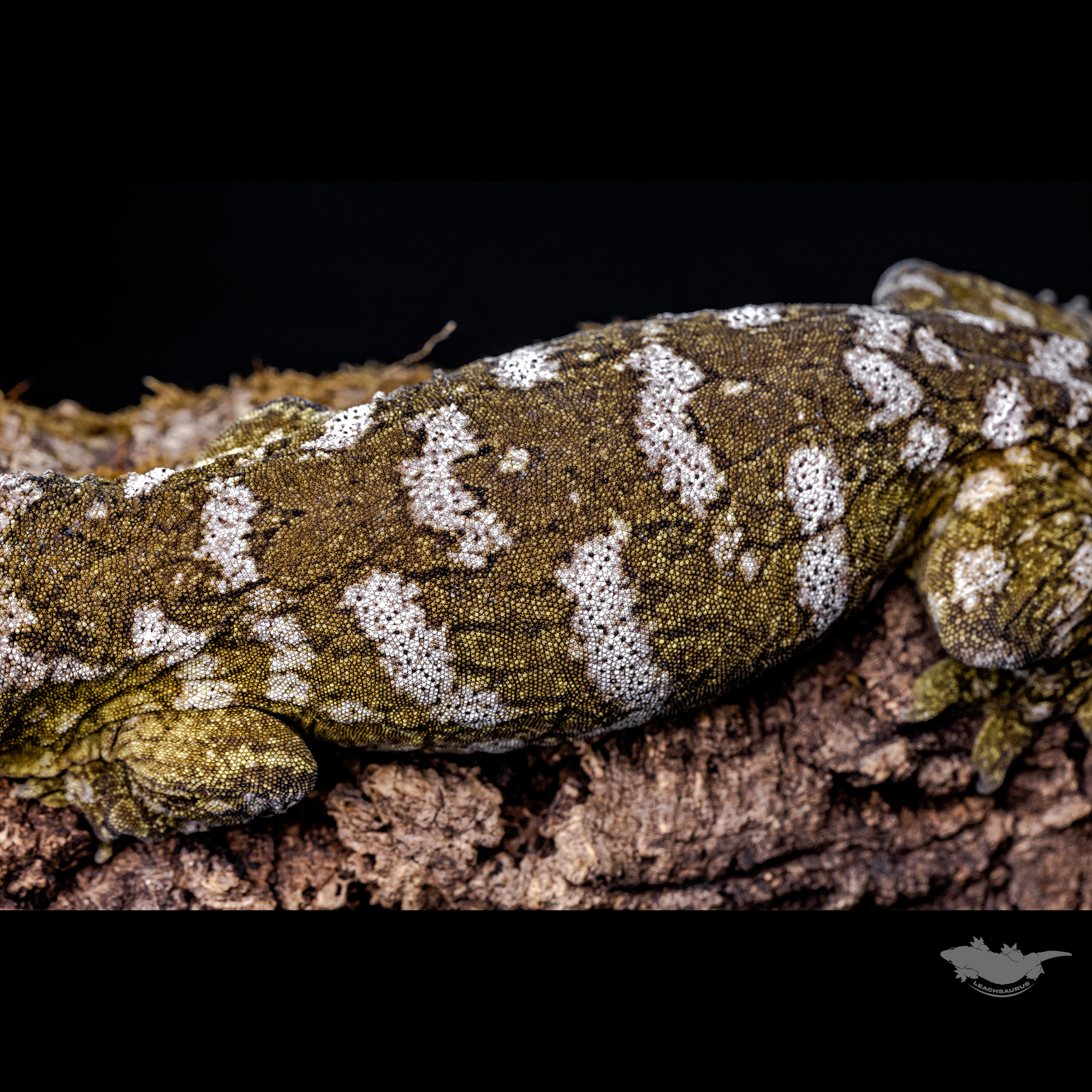 스팟 확대 사진입니다!