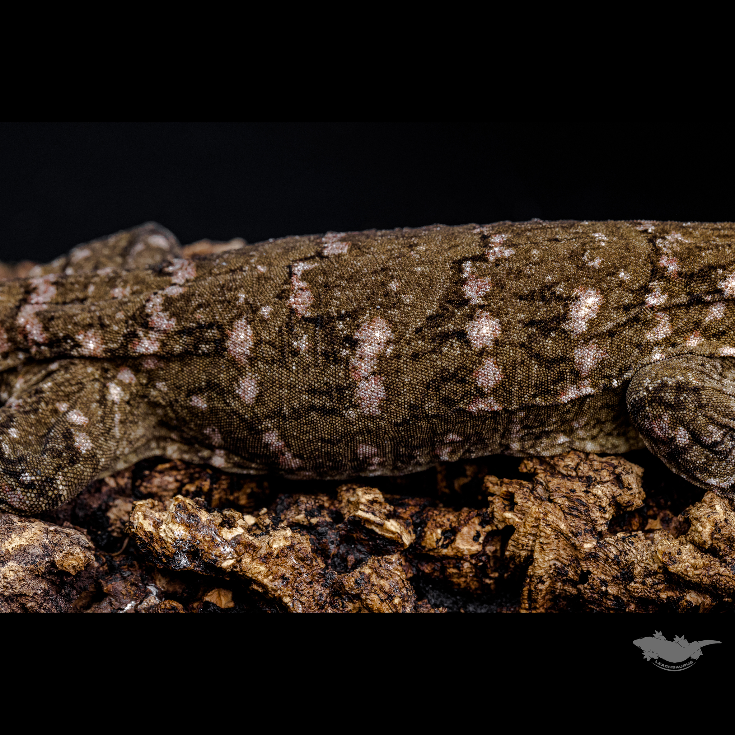 스팟 확대 사진입니다!