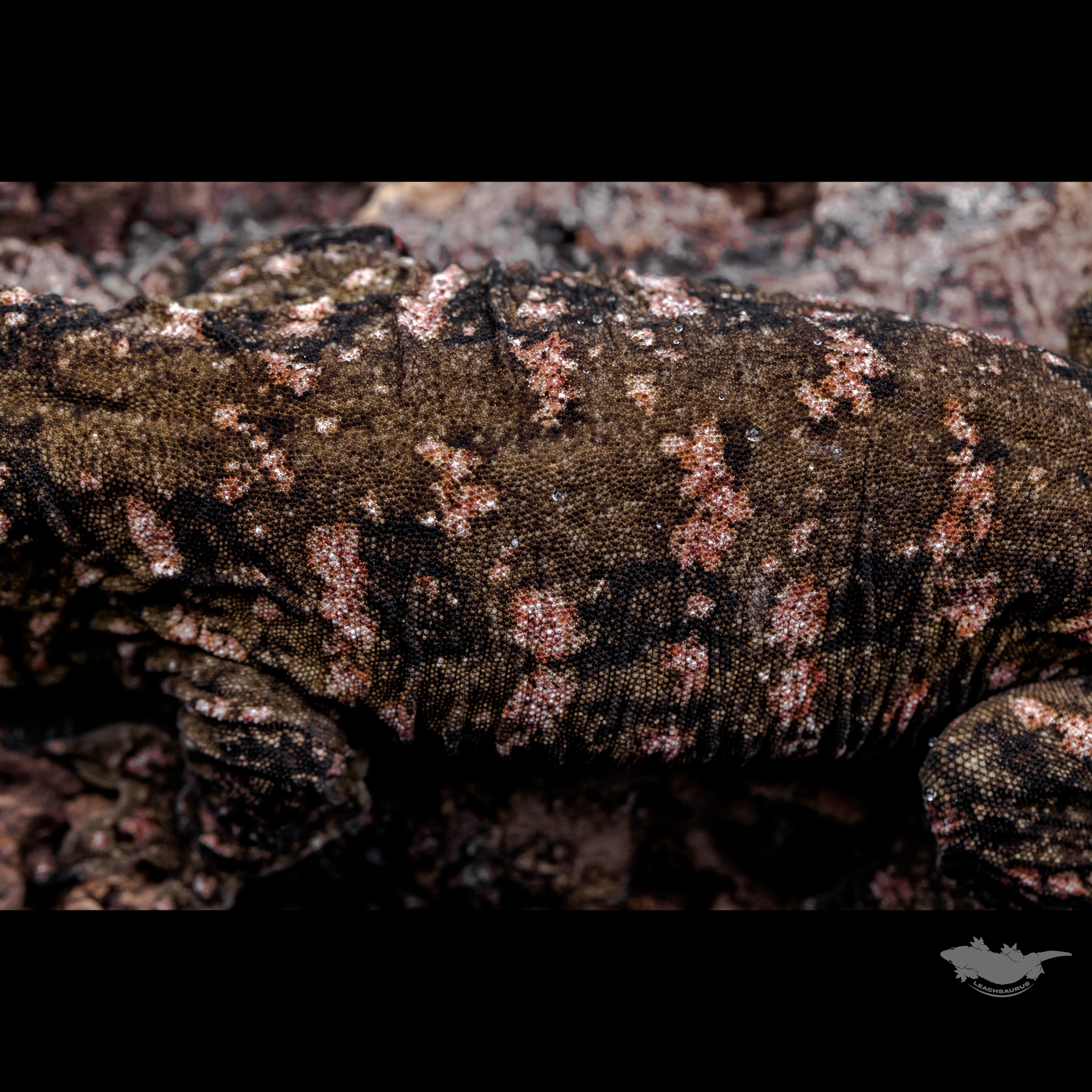 70% 파이어업 된 상태입니다.