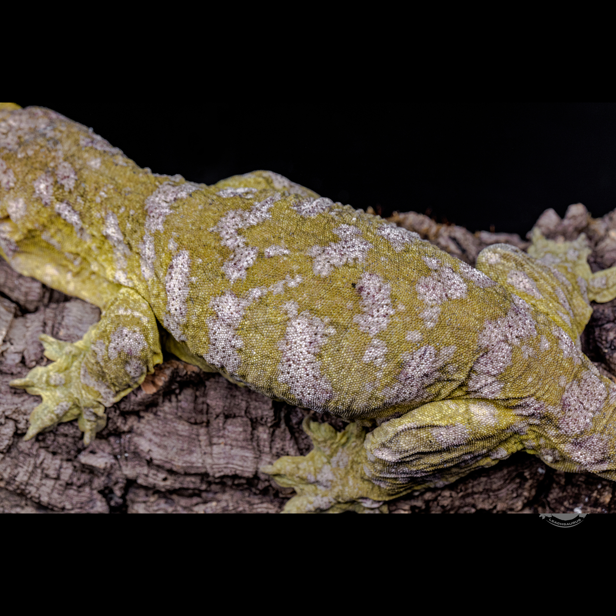 스팟 확대 사진입니다!