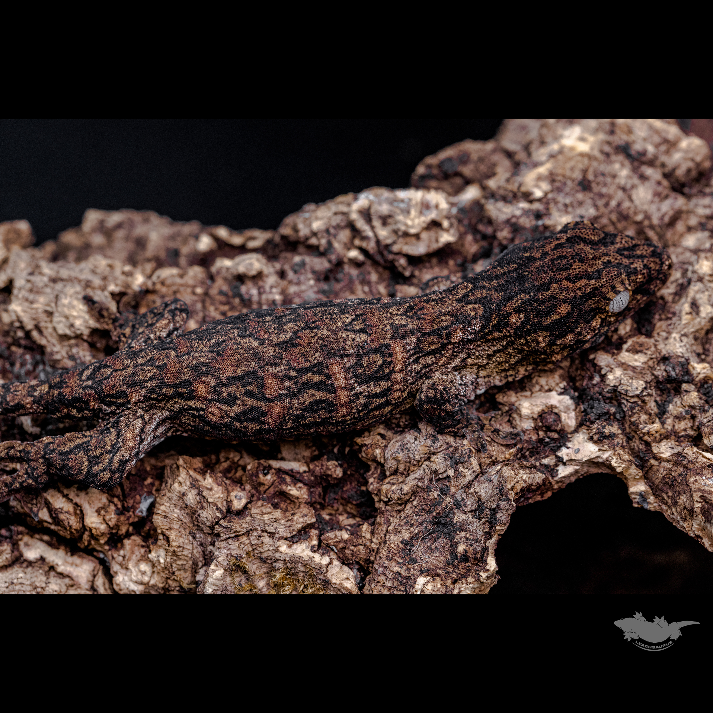 다른 각도의 사진과 스팟 확대 사진입니다 :)