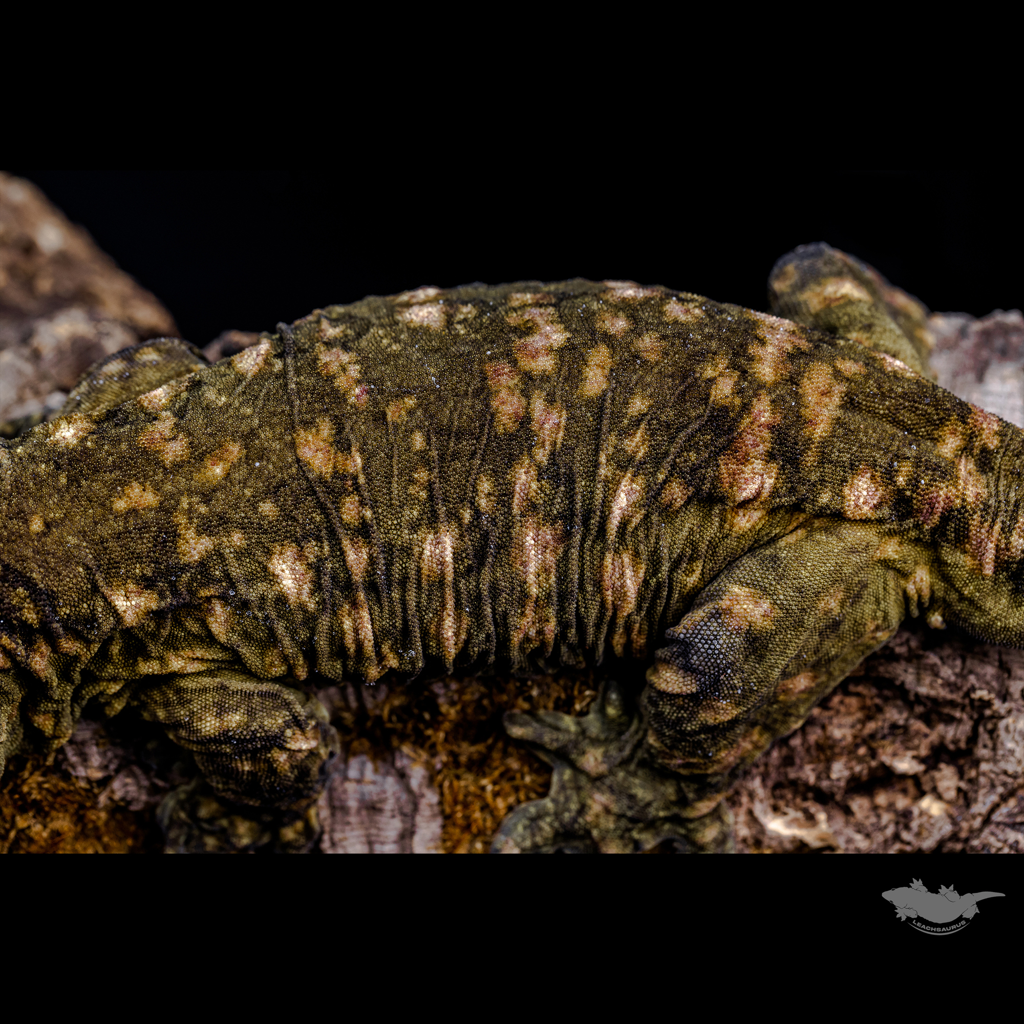 스팟 확대 사진입니다!