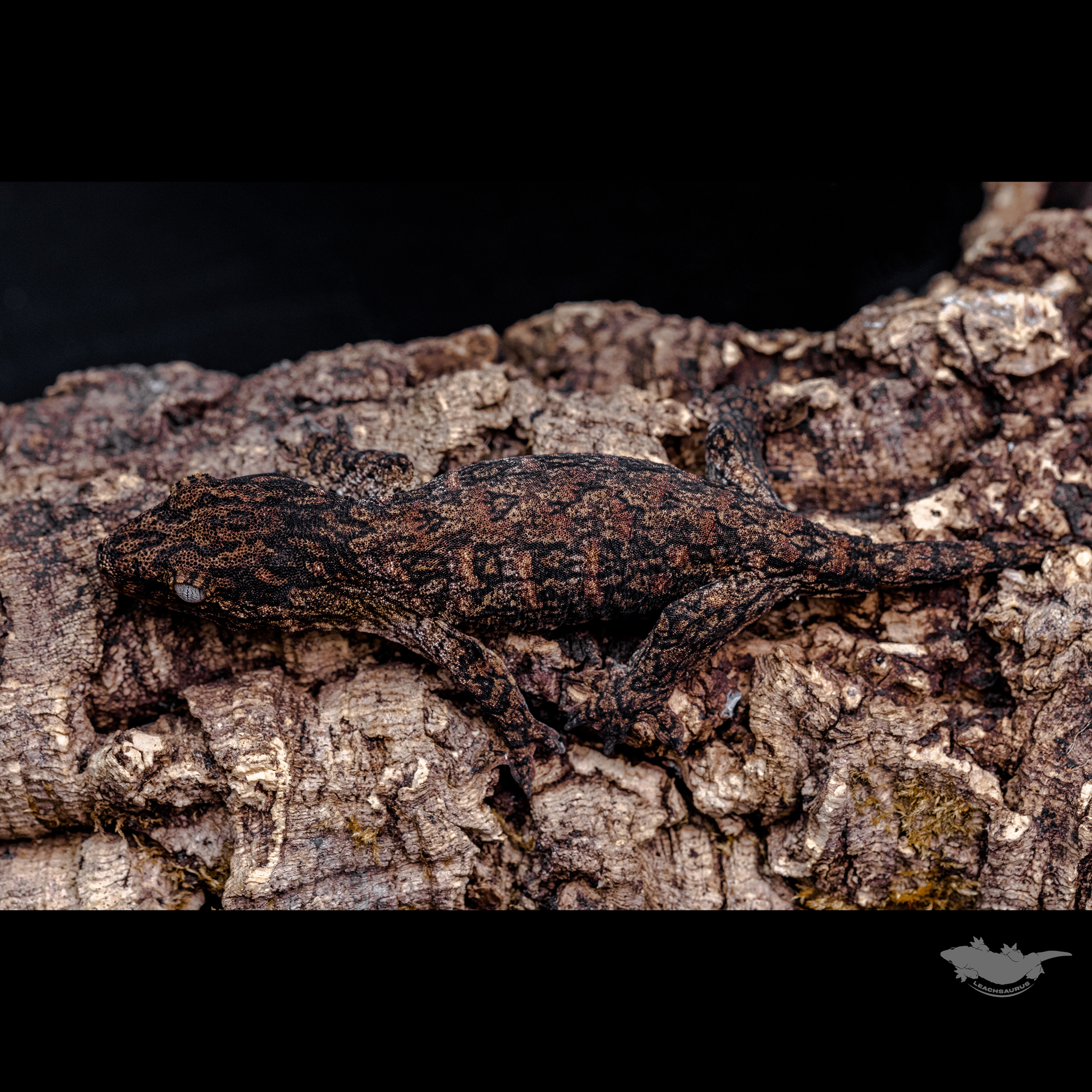 다른 각도의 사진과 스팟 확대 사진입니다 :)