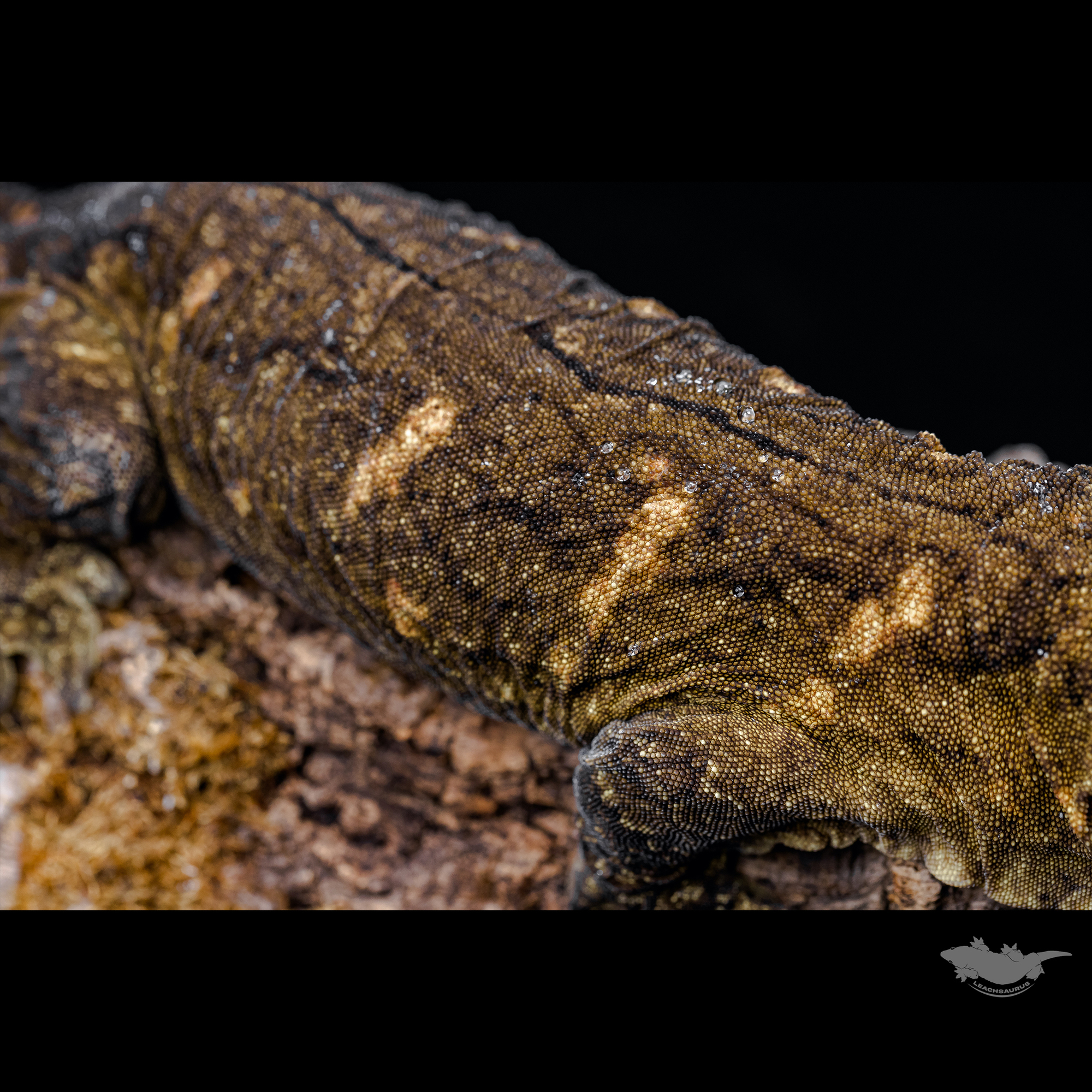 스팟 확대 사진입니다!