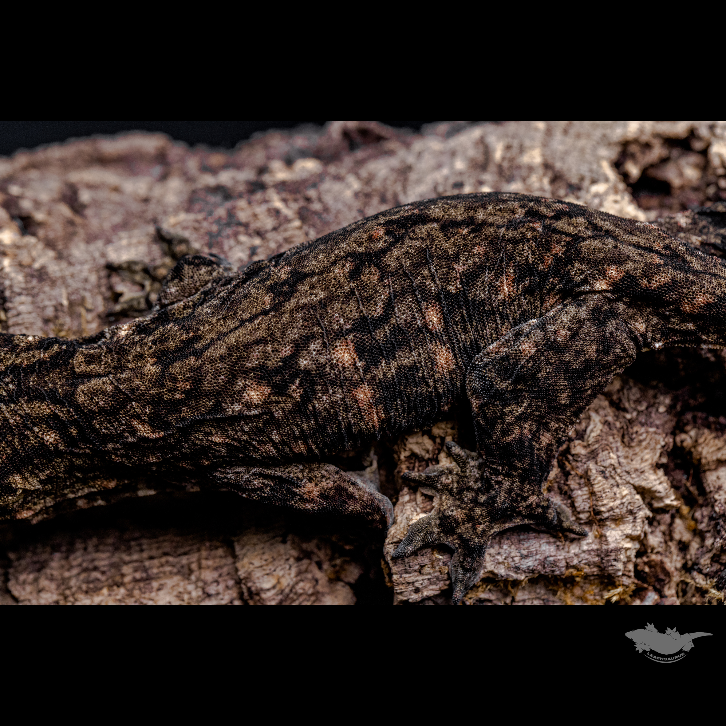 스팟 확대 사진입니다 :)