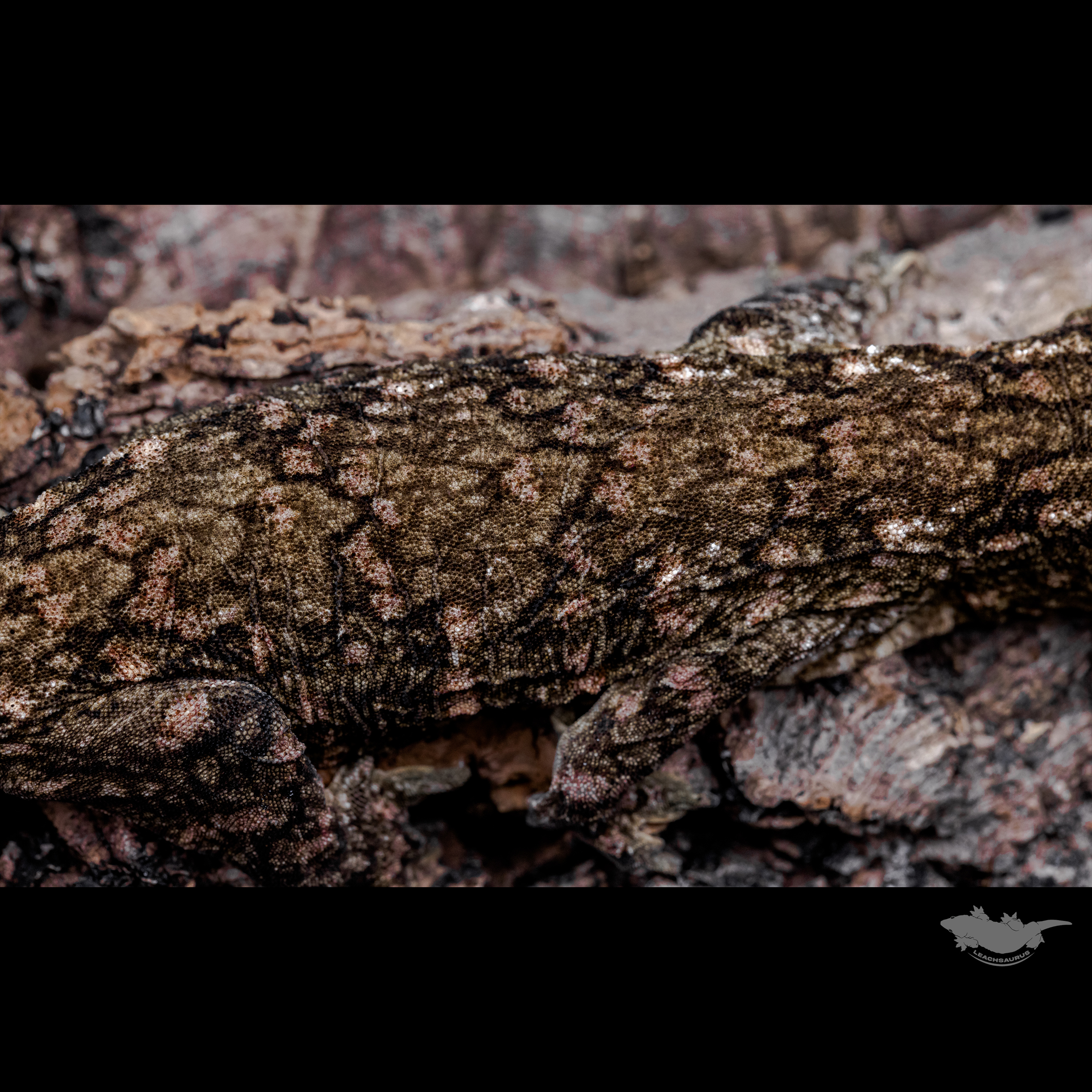 스팟 확대 사진입니다 :)