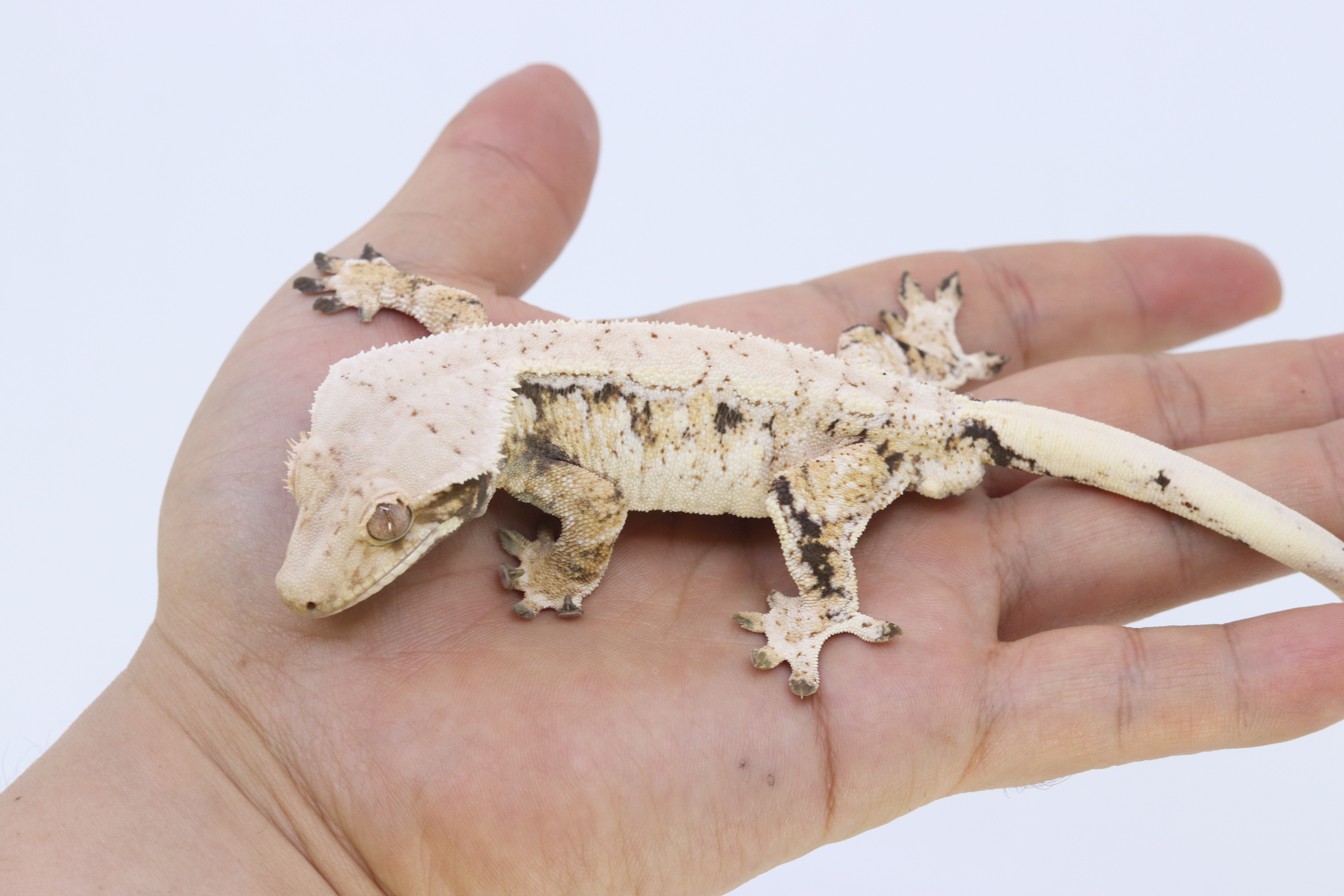 24. 12월 최근 사진