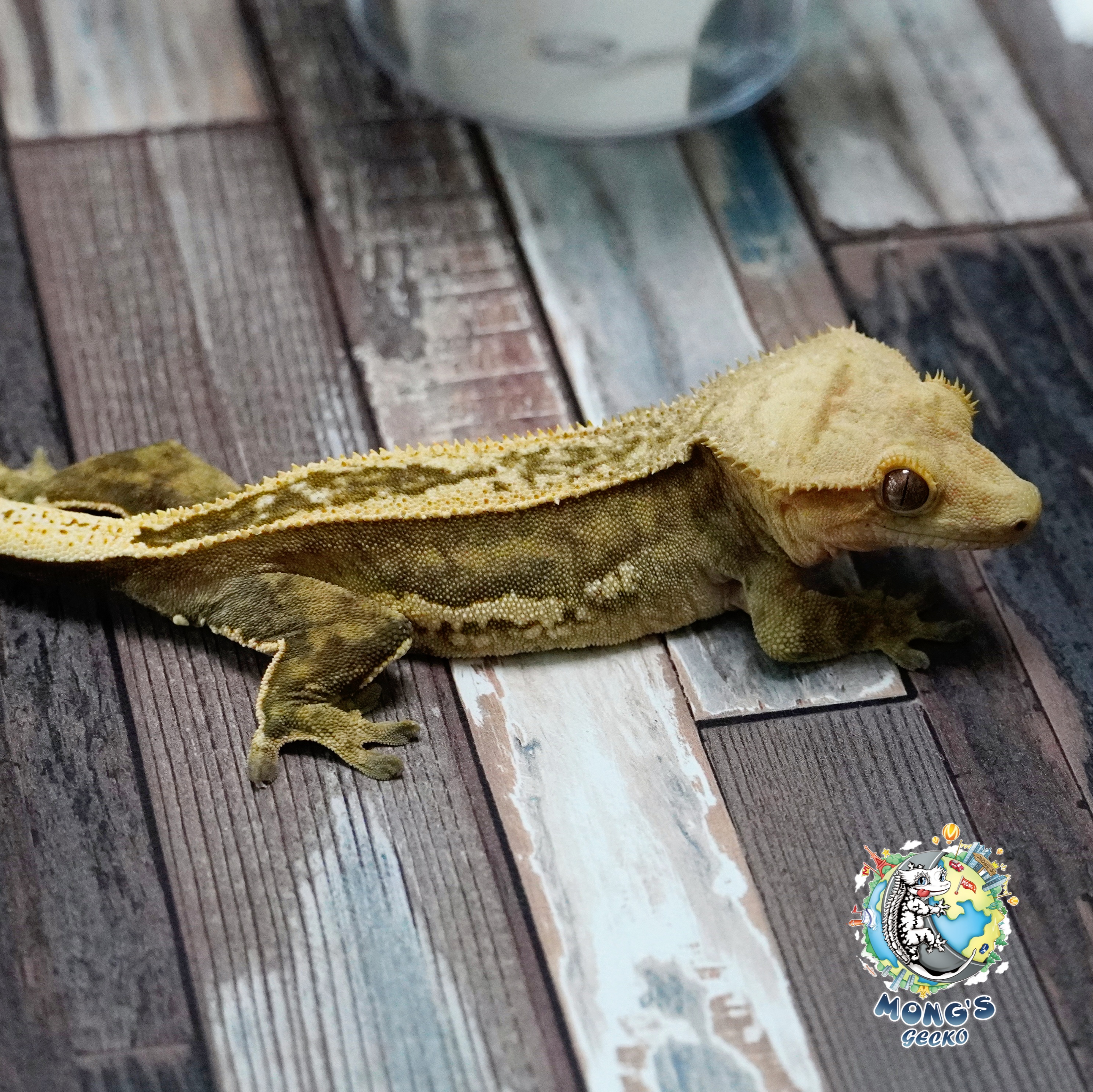 Super Stripe Empty Back