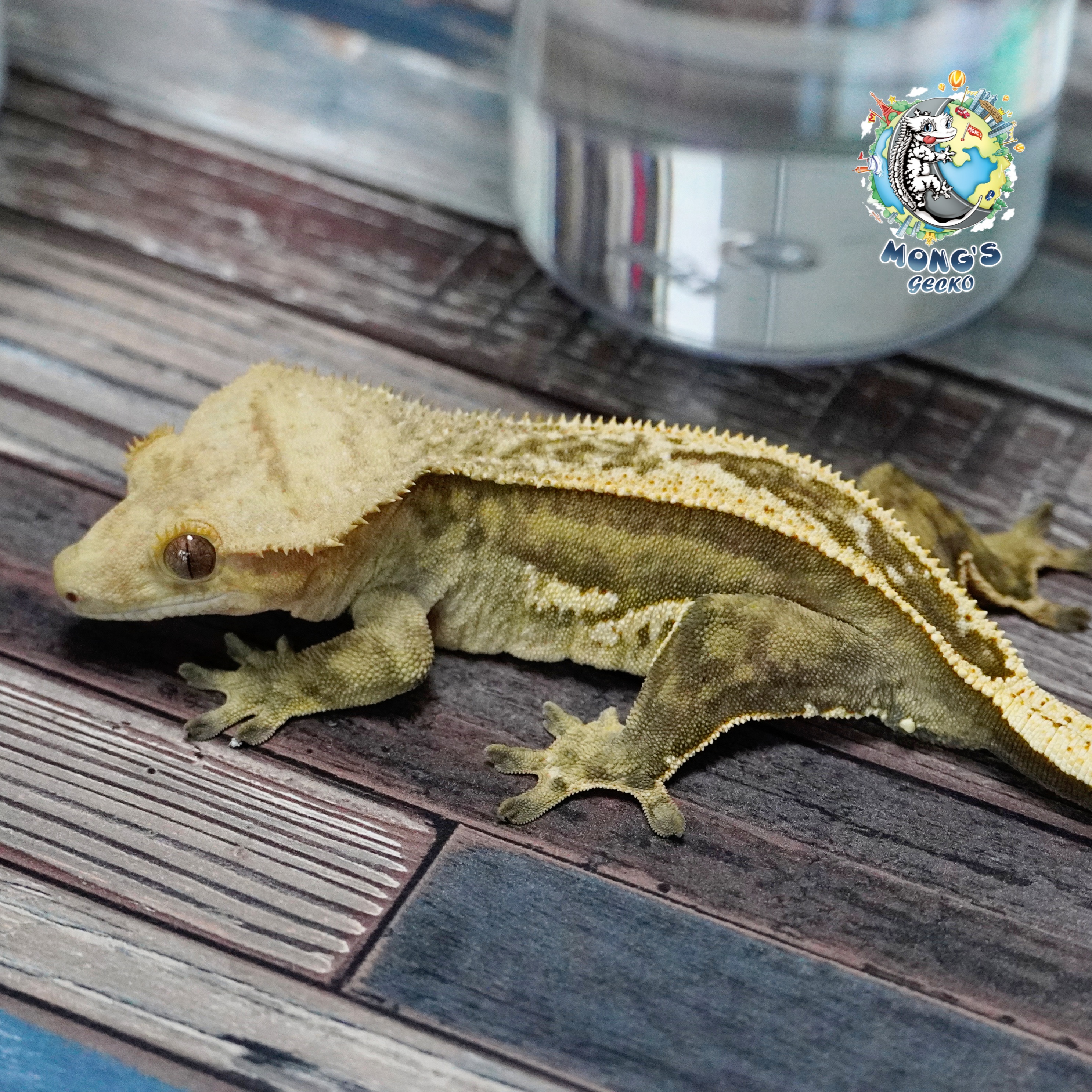 Super Stripe Empty Back