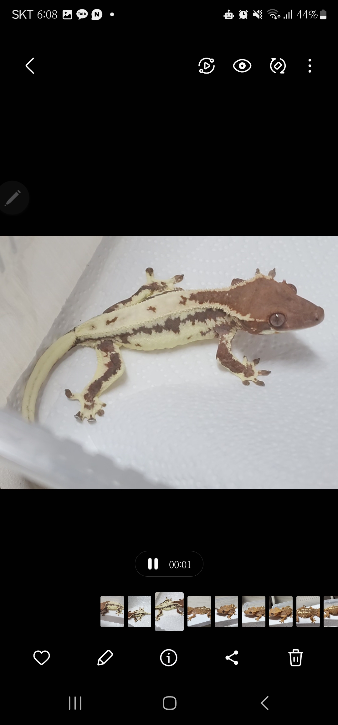 1번째 사진 어릴때,  2,3번 사진 동배