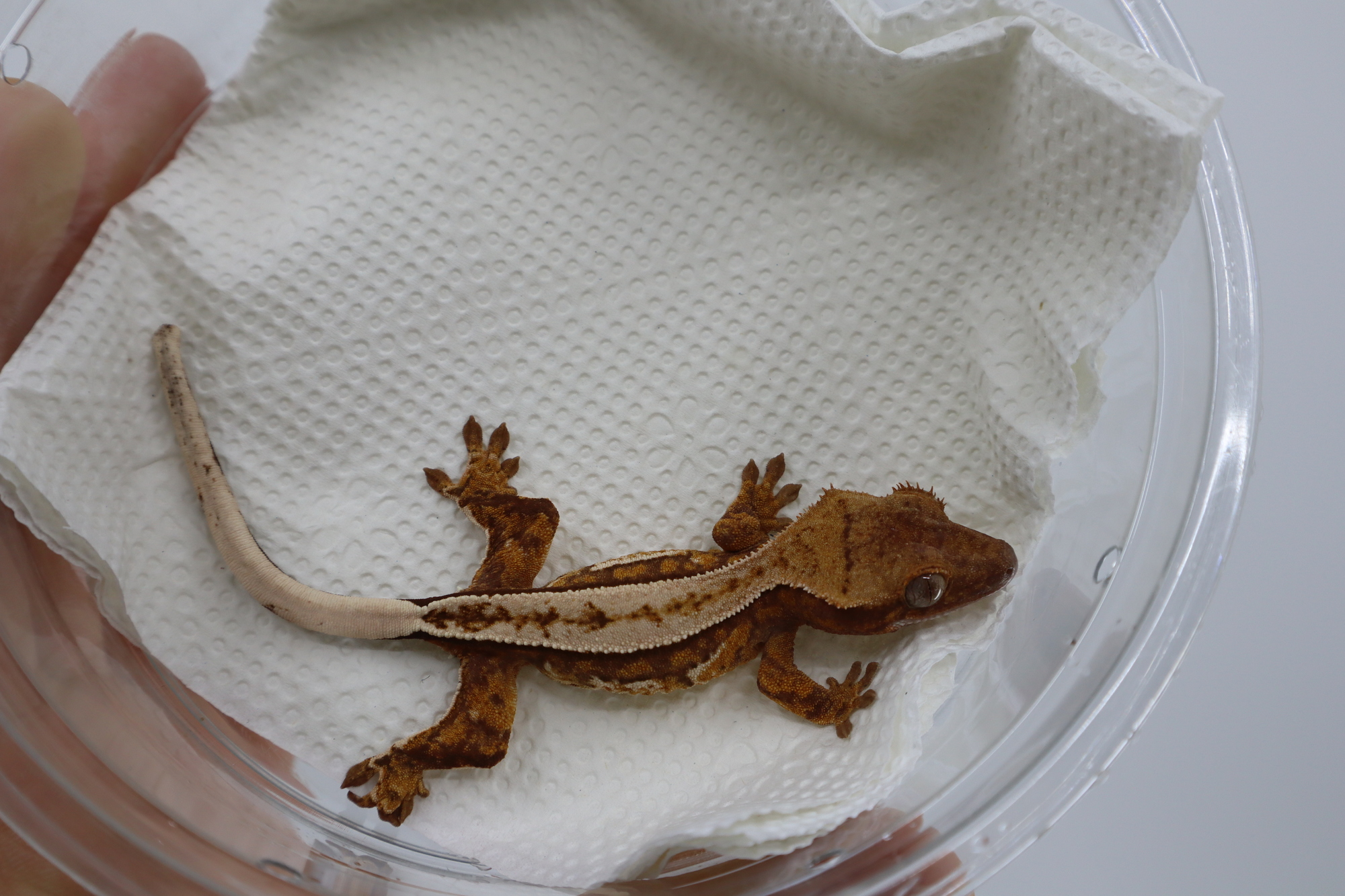 동배 사진 첨부합니다. 