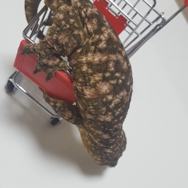 Leapin Leachies Brosse