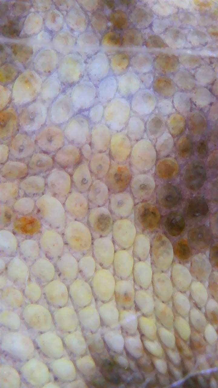 천공 확인 - 2024. 10. 16
무게 측정 : 11.5그람 - 2024. 10. 16 기준