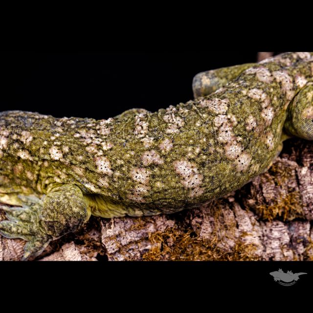 스팟 확대 사진입니다!