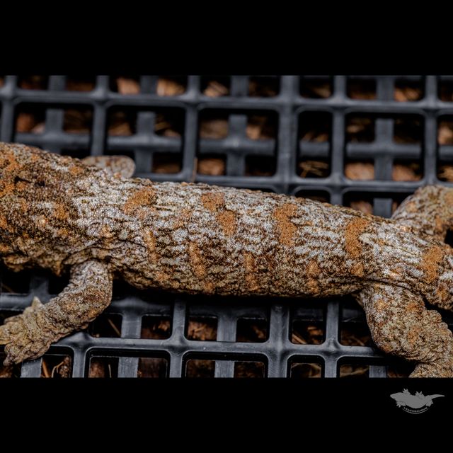 스팟 확대 사진입니다 :)