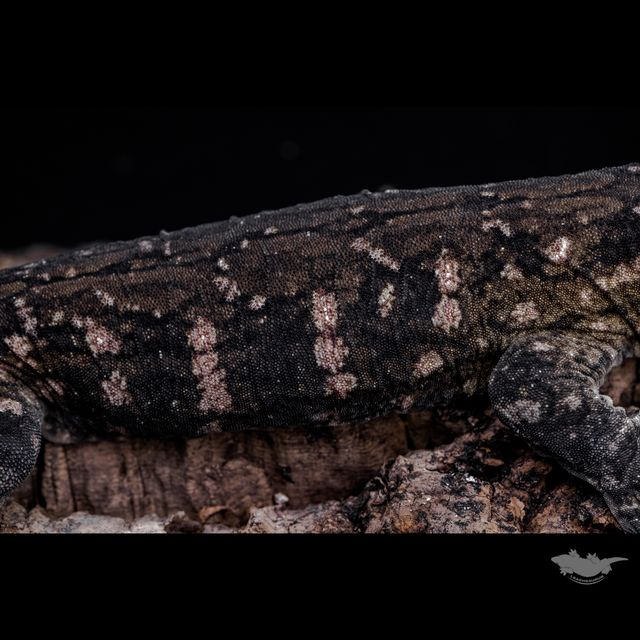 23시즌 시블링 사진입니다.