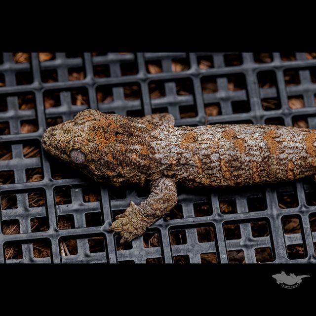 스팟 확대 사진입니다 :)