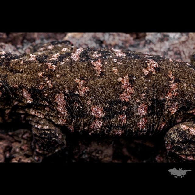 70% 파이어업 된 상태입니다.