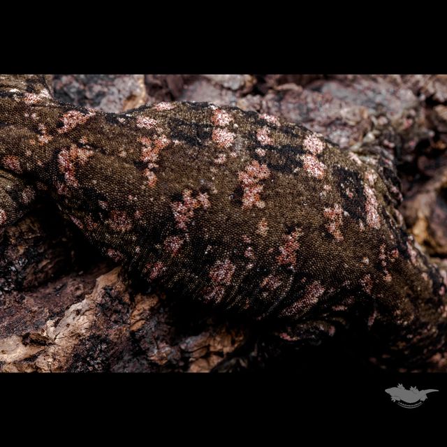 70% 파이어업 된 상태입니다.