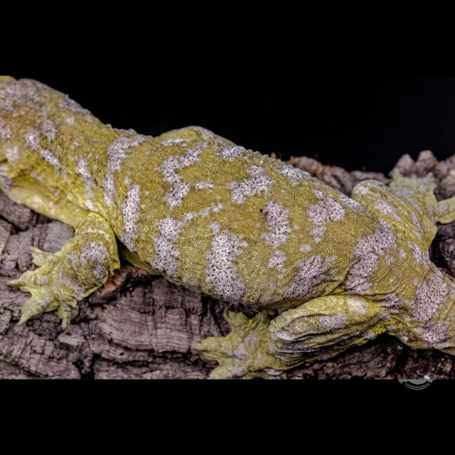 스팟 확대 사진입니다!