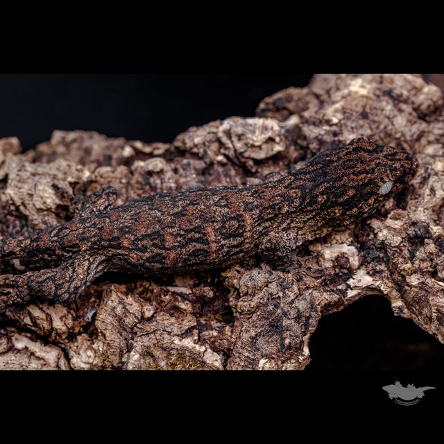 다른 각도의 사진과 스팟 확대 사진입니다 :)