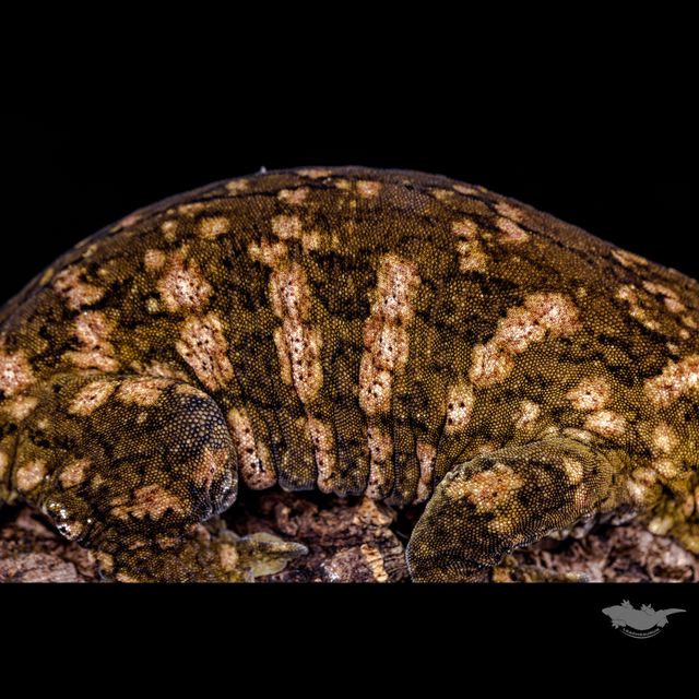 스팟 확대 사진입니다!