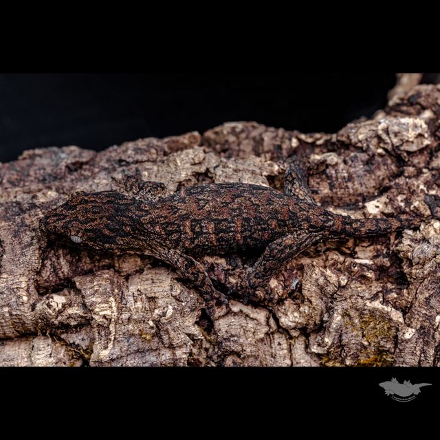 다른 각도의 사진과 스팟 확대 사진입니다 :)