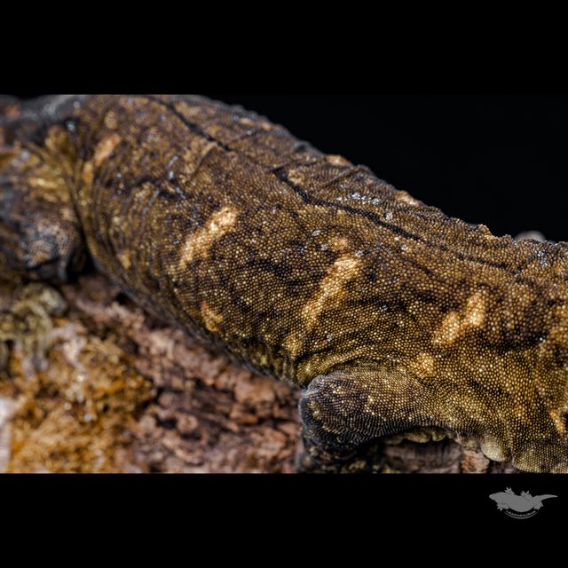 스팟 확대 사진입니다!