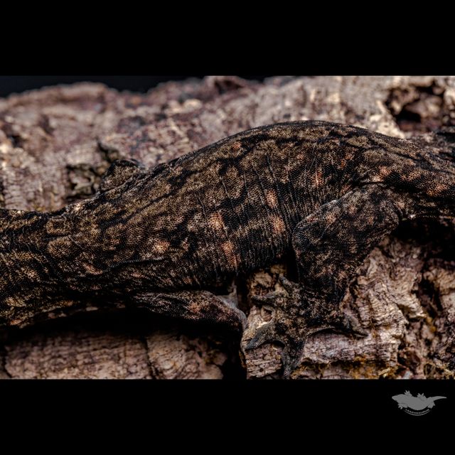 스팟 확대 사진입니다 :)