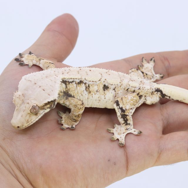 24. 12월 최근 사진