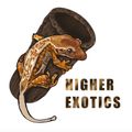 HigherExotics