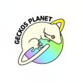 게코플래닛