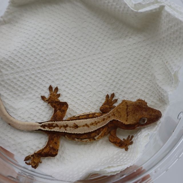 동배 사진 첨부합니다. 