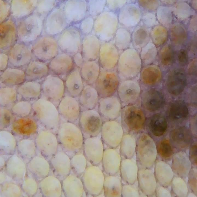 천공 확인 - 2024. 10. 16
무게 측정 : 11.5그람 - 2024. 10. 16 기준